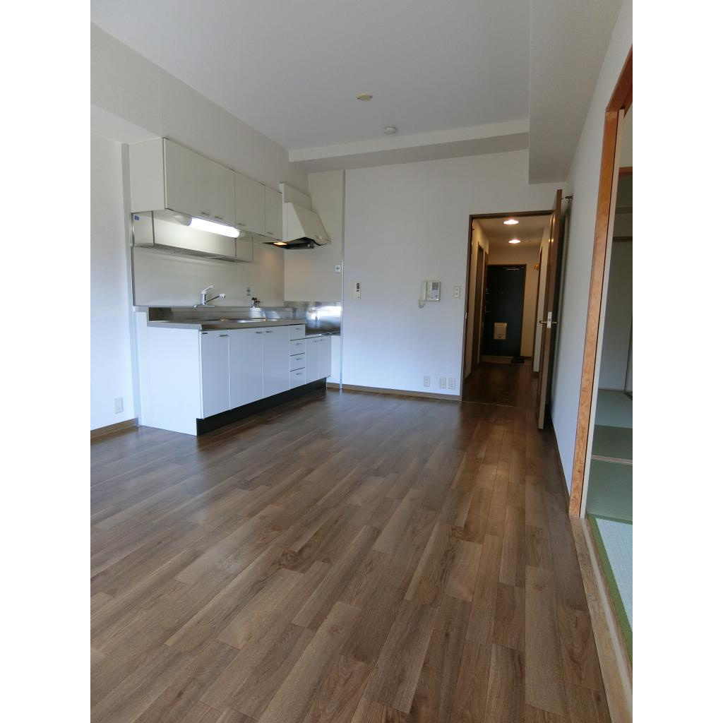 メゾンドーム三軒家の居間・リビング