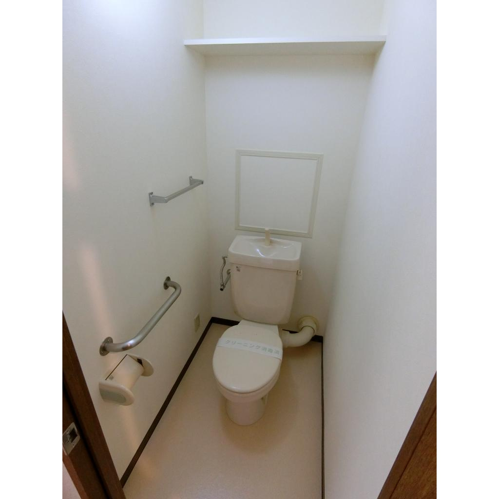 メゾンドーム三軒家のトイレ