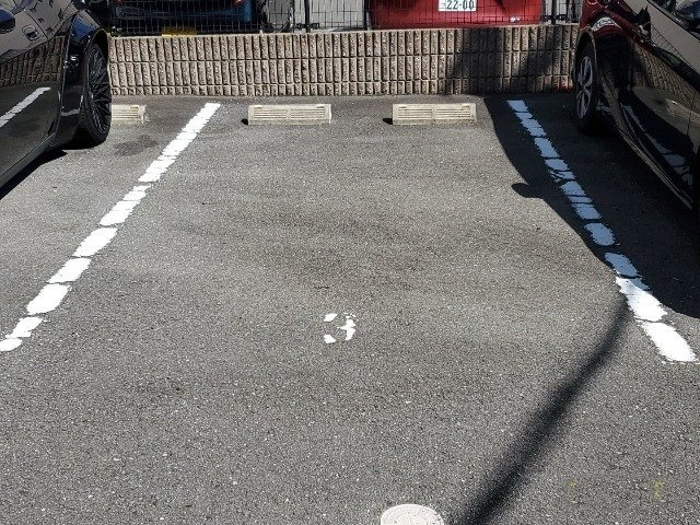 レオパレススプルースのその他