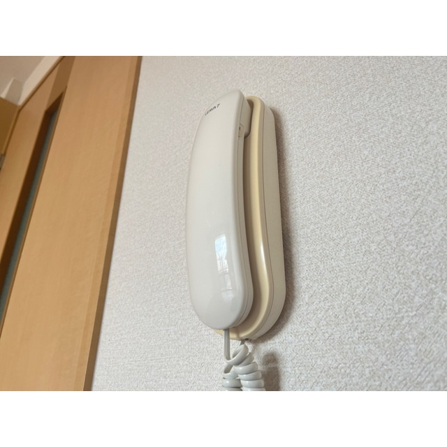 Ｆｏｒｅｓｔ　Ｖｉｌｌａの設備|インターホン