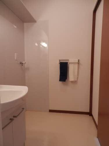 シャーメゾンJUNO　D棟の洗面所