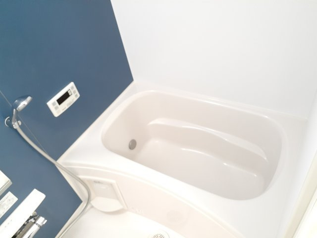 グラン　フェリシアの浴室