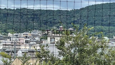 【展望】 | 朝日プラザ高瀬川 | 清水寺が見えます