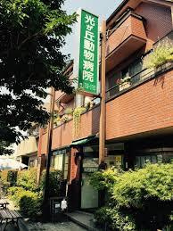 PALM　SPRINGS　光が丘のその他|光が丘動物病院