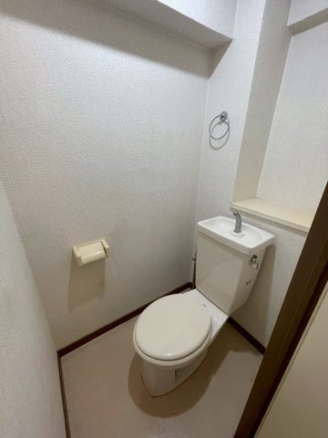 久留米市上津町の賃貸マンションの設備|205の内装写真となります。