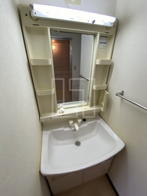 【洗面所】 | サウスサイドなにわ筋 | サウスサイドなにわ筋　独立洗面化粧台