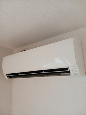 【その他】 | プリムロ－ズ