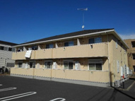 プリムロ－ズの画像