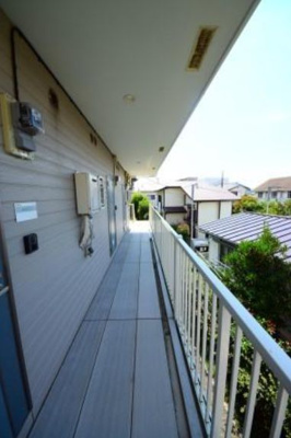  | ウィキッド湘南