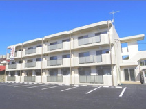 ユーミーセレッソの画像