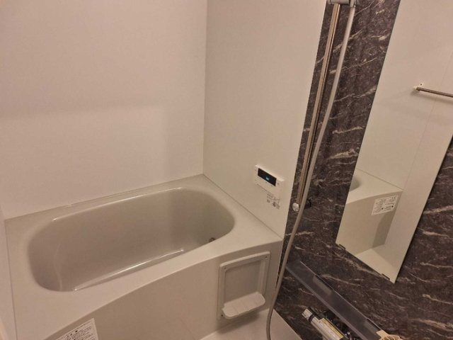 Ｄ－ＲＯＯＭみたけⅡの浴室