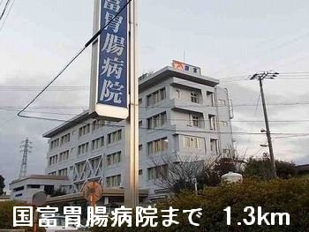 サンライズ青山の周辺|国富胃腸病院まで1300m