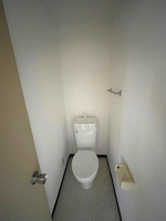 落ち着いた色調のトイレです