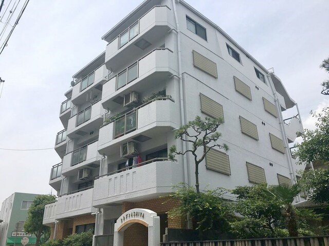 セルダン芦屋