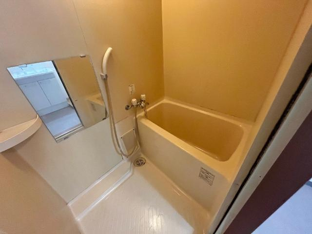 リバーグレイスⅡの浴室|バス