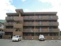 モーメント新谷の画像