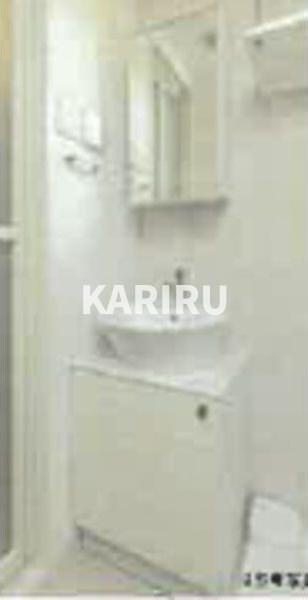 ファステート大阪アステールの洗面所