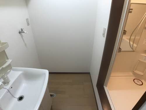 シャーメゾン安倍館Dの洗面所