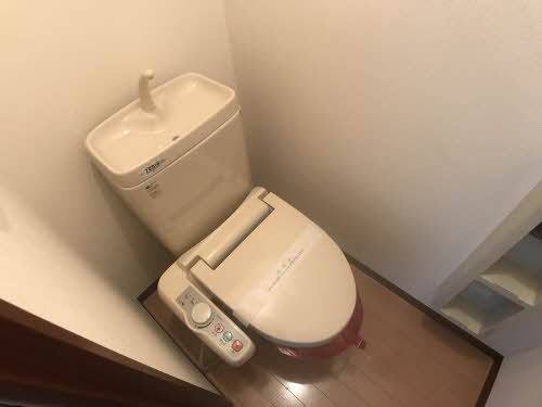 シャーメゾン安倍館Dのトイレ