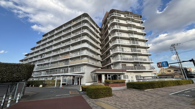 の-の画像