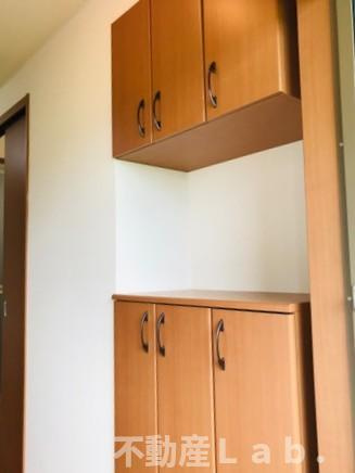 ファレノプシスの収納