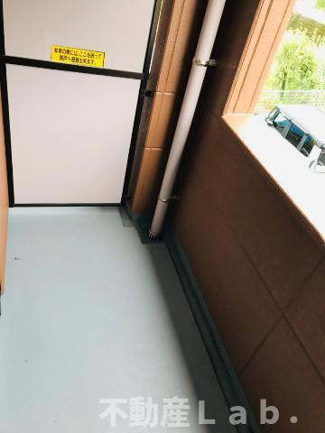 ファレノプシスのバルコニー