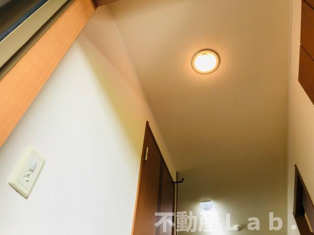 ファレノプシスの洗面所