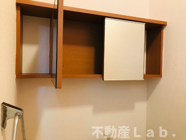 ファレノプシスの洗面所