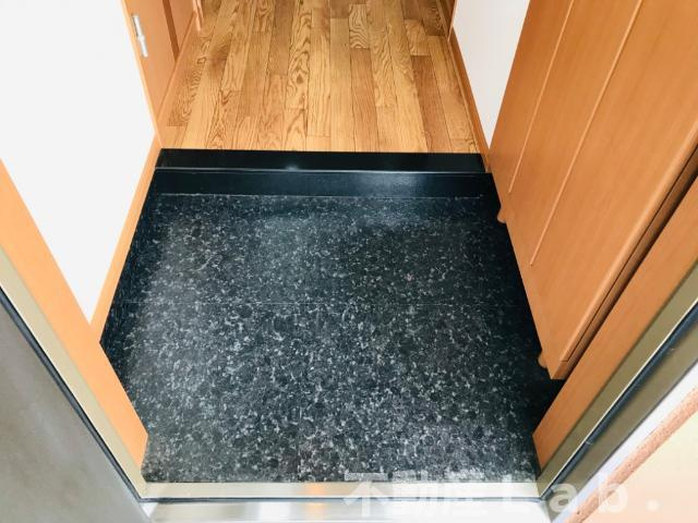 ファレノプシスの外観