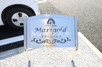 【その他】 | マリーゴールド