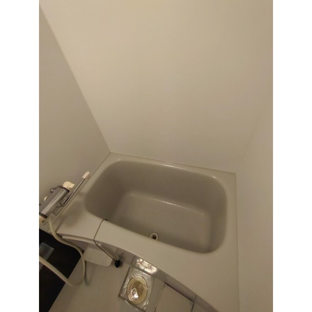 ダリアステート西新井の浴室