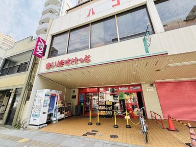 【周辺】 | ステージグランデ錦糸町Ⅱ