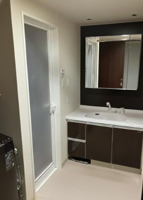 【独立洗面台】 | レクセルガーデン所沢けやきの杜 | 洗髪洗面化粧台