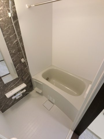 プラザドゥシャレーの浴室