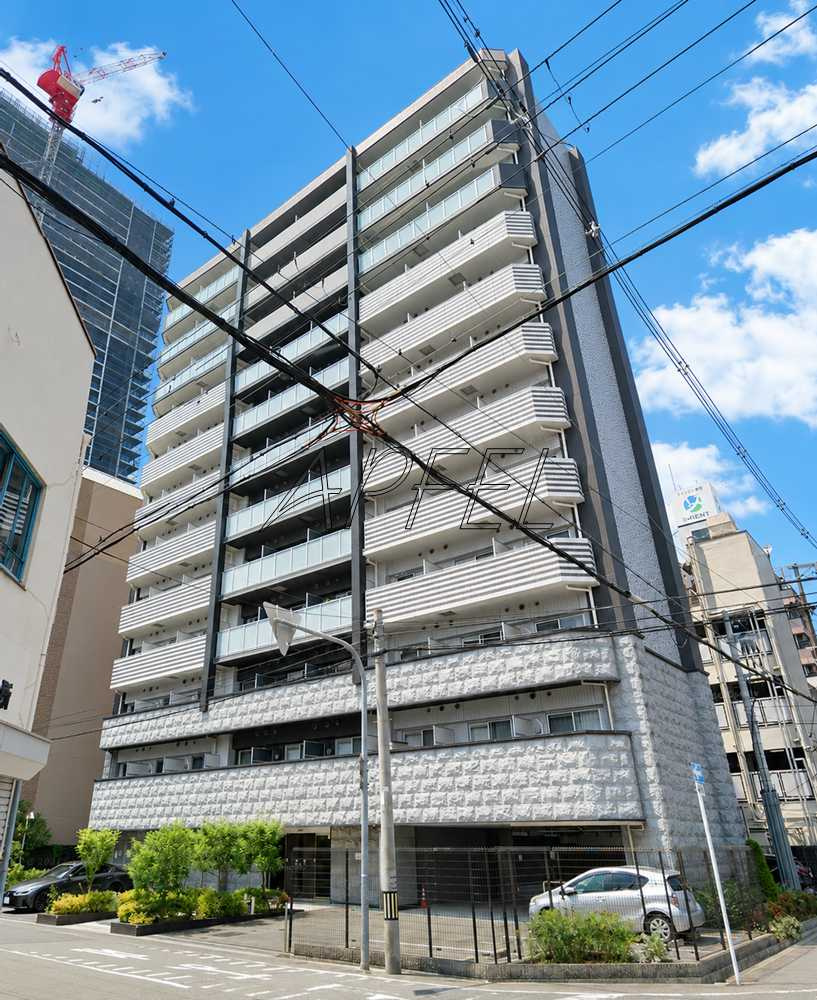 メインステージ大阪ノースマークの画像