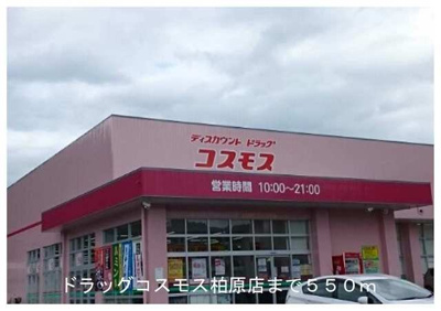 【周辺】 | フォンテーヌ柏原Ⅱ | ドラッグストアコスモスまで550m