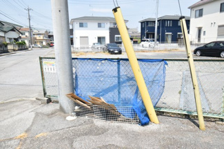 【その他共用部分】 | anハイツ