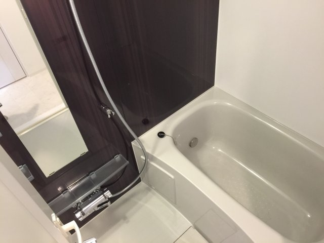 メインステージ錦糸町Ⅶラピスの浴室