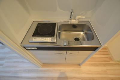 コーニッシュ王子公園のキッチン