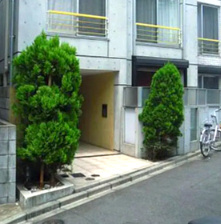 MODULOR中井のエントランス|落ち着いたエントランスです