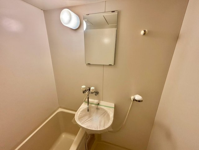 ソレイユ井ノ口の洗面所