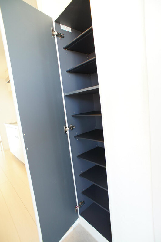 さいたま市南区太田窪２丁目の賃貸マンションの玄関