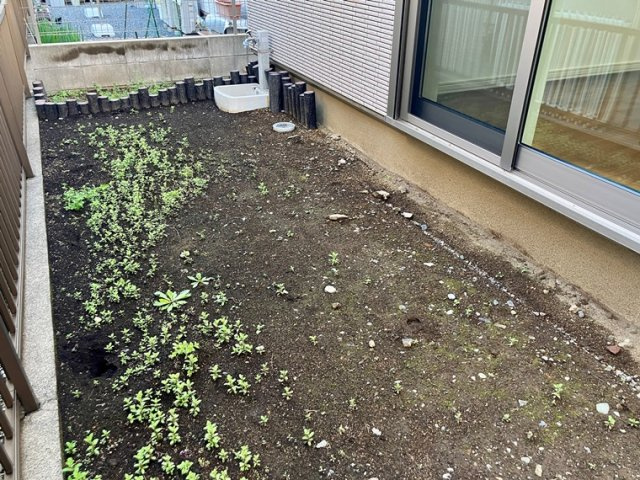 富士塚戸建の庭