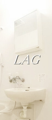 【洗面所】 | コンフォートスペース新宿 | 洗面台です。