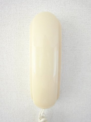 【設備】 | ブルーベリーハウスＡ