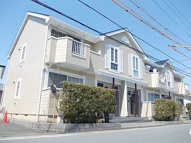 ミニヨンＡＮの画像