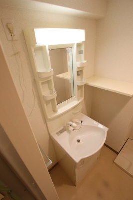 【独立洗面台】 | メゾン・プレアデス