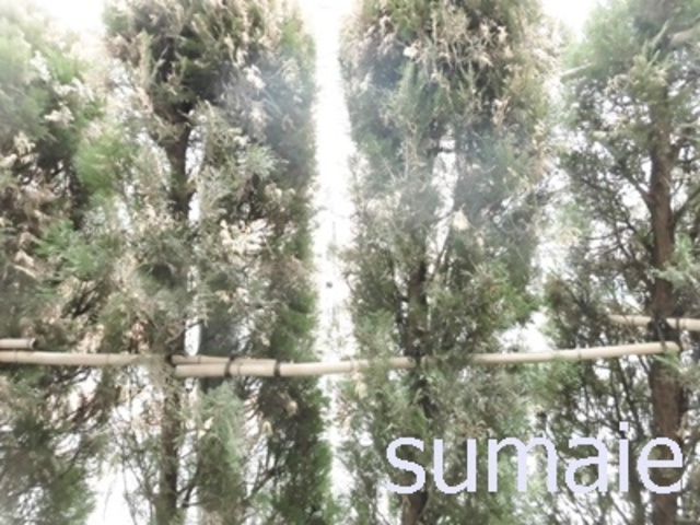 アンクレージュの展望|お部屋からの景色です☆