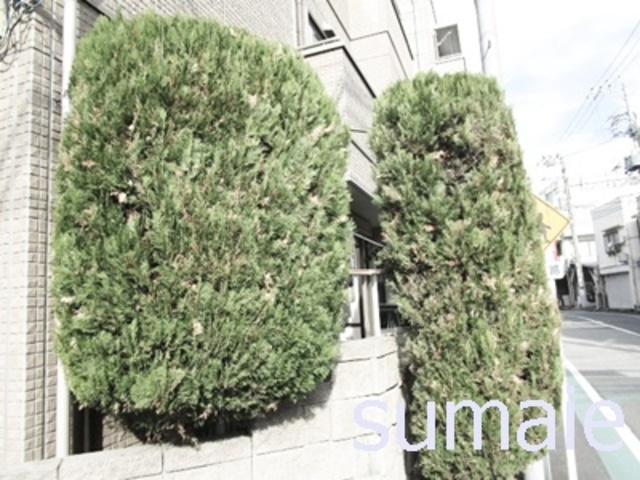 アンクレージュのその他|敷地内植栽です☆