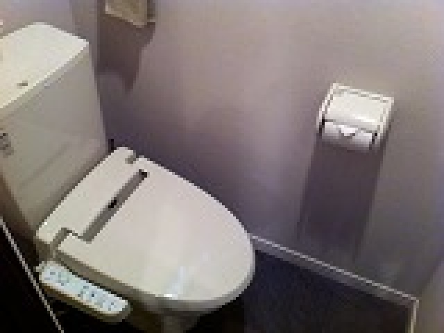 Maisonetic 東雲のトイレ